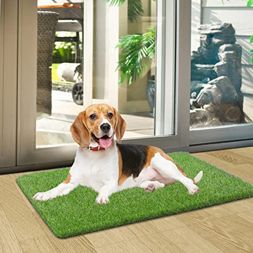Artificial Grass Door Mat, Fake Grass Rug for Entrance, Dog, 17" x 30" | Realistic look, Durable TPR bottom, Non-Slip, Safety material, Soft underfoot - size: 1'5" x 2'6" (Rectangular)