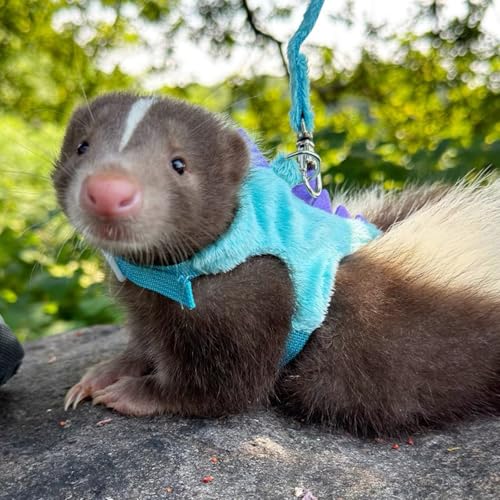 Bearded Dragon Harness and Leash Set - Soft Fleece Dinosaur Vest with Safe Bell Adjustable Lizard Traction Rope Escape Proof Outdoor Walking Training Leash for Ferret Rat Kitten Puppy (Blue) - color: Blue