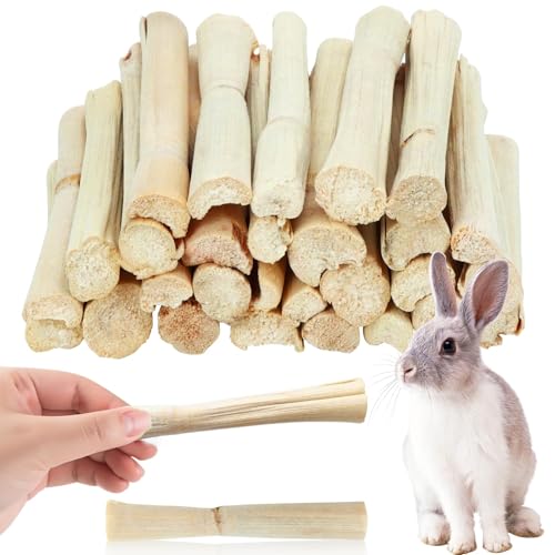 1lb Natural Sweet Bamboo Chew Sticks, Molar Teething Treats Toys for Rabbits, Bunnies, Guinea Pigs, Hamsters, Chinchillas, Rats & Other Small Animals - size: 1lb