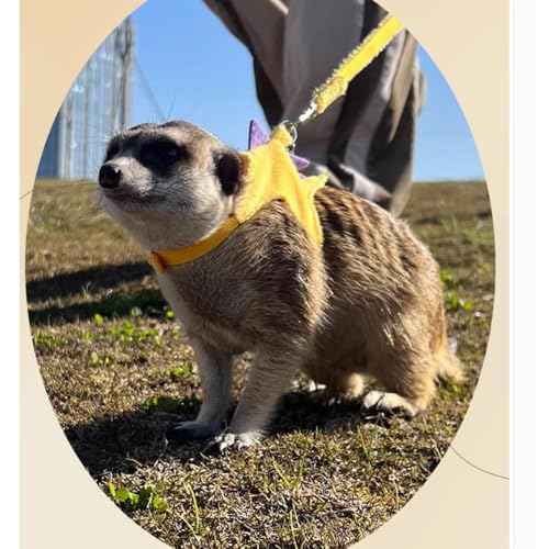 Ferret Harness and Leash Set Small Animals Vest Harness with Safe bell Dinosaur Shaped Walking clothes for Baby Rabbit Guinea pig Teacup Chihuahua Mouse and other small pet (Yellow) - color: Yellow