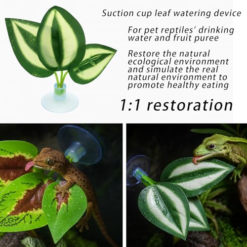 13 PCS Reptile Reptile Eco Bottle Decoration Set - vines, eco bottle plants, hanging greenery, leaf feeders, lizards, geckos, bearded dragons Landscape drawn hideout logs and habitat accessories
