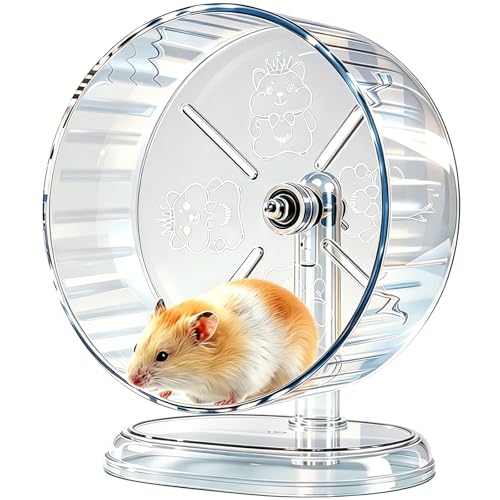 Hamster Wheel,Super Silent Hamster Exercise Wheels,Silent Wheel,Hamster Wheels,Adjustable Stand Hamsters Exercise Wheels,Quiet Rat Wheel (Transparent, Ф9.5 inch) - size: Ф9.5 inch