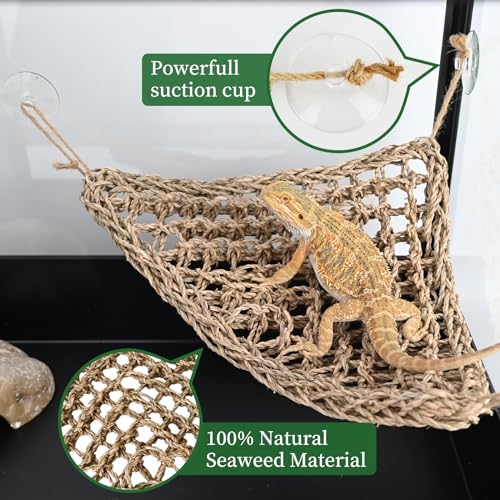 Reptile Hammock Corner Triangle 2 PCS,100% Natural Seagrass Fiber,Bearded Dragon Tank Accessories Habitat Decor for Lizard,Anoles,Iguanas,Chameleon and Hermit Crabs