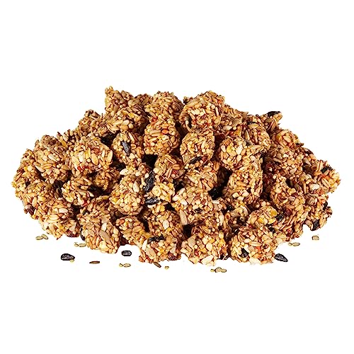 Kaytee Granola Bites with Superfoods Cranberry, Apple and Flax for Rats, Mice, Hamsters, Gerbils, Rabbits, Guinea Pigs and Chinchillas, 4.5 oz (Pack of 2) - size: 4.5 Ounce (Pack of 2), style: Cranberry, Apple & Flax