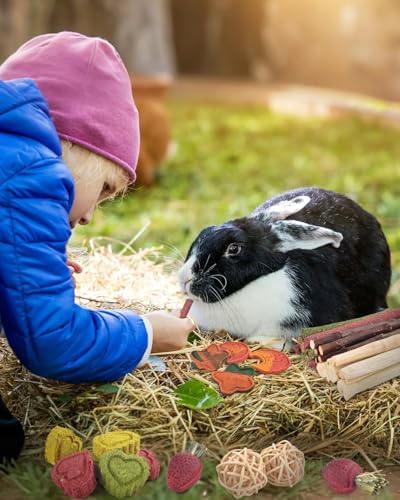 ERKOON 33PCS Bunny Chew Toys for Rabbits Teeth, Natural Rabbit Toys Apple Wood Sticks, Carrot, Timothy Grass Treats for Small Pets, Hamster, Chinchilla, Guinea Pig Dental Care and Treat Teething Toys - size: 33