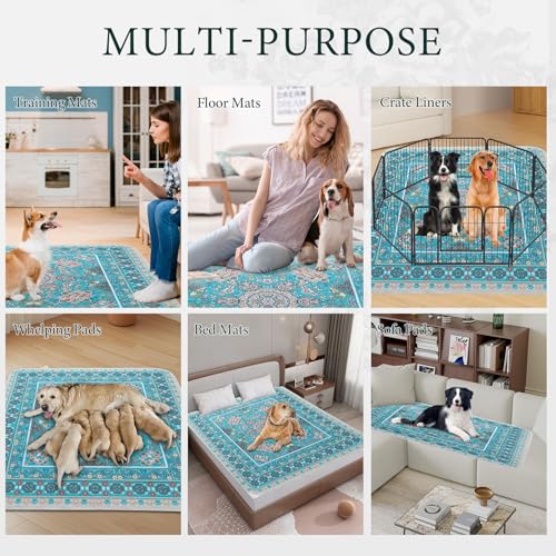 Homimp Washable Pee Pads for Dogs, 2 Pack Reusable Puppy Pads Waterproof, Absorbent and Leakproof Dog Pee Pads, Non Slip Puppy Training Pads, Pet Mat for Floor,Crate,Couch,Whelping,Blue, 36"x48" - size: 36"x48"(Pack of 2)
