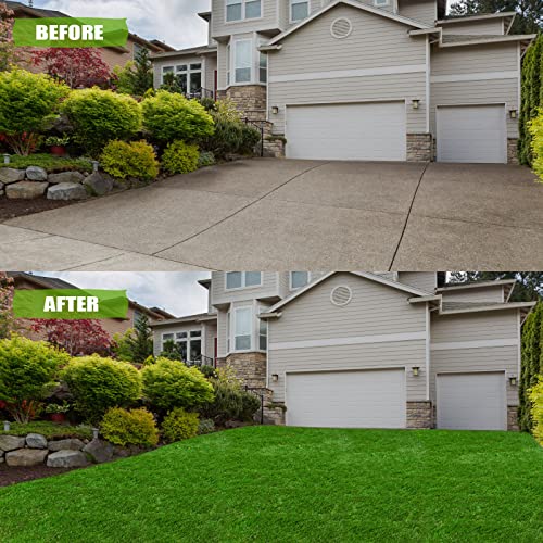 Premium Artificial Grass 3' x 6' Outdoor Rug, 1.38" Realistic Thick Turf for Garden, Yard, Fake Lawn, Dogs Synthetic Grass Mat, Rubber Backed with Drainage Holes, Customized Sizes - size: 3' x 6'