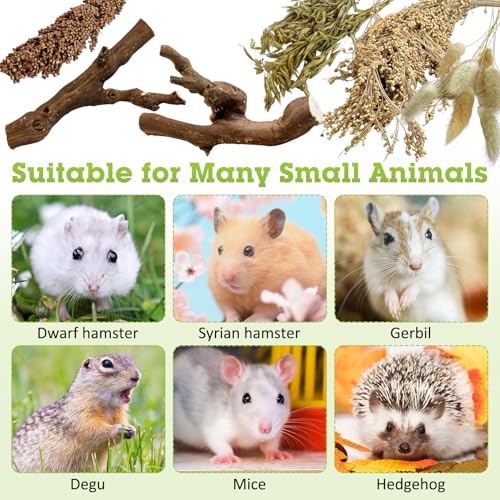 Tfwadmx 2PCS Wood Hamster Climbing Branches & Small Animal Natural Ear of Grain Spray Hamster Bedding Habitat Decor Rat Exercise Toys Treat Cereal Grain for Hamsters Gerbils