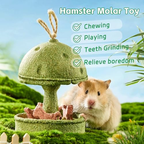 Hamiledyi Guinea Pig Chew Toys Rabbit Chew Toys for Teeth Natural Hamster Treats Prevent Teeth Overgrowth for Syrian Hamsters Gerbils Rat Bunny Chinchilla Small Animals - style: Style B