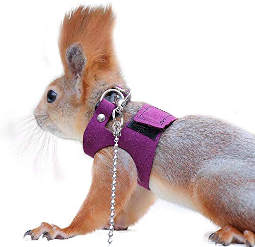Squirrel Traction Rope with 1.8m Lead Leah, Adjustable Small Animal Walking Harness, Anti-Biting Chain Rope Vest Strap for Hamster Gerbil Rat Mouse Ferret Chinchilla and Small Animals - color: Purple