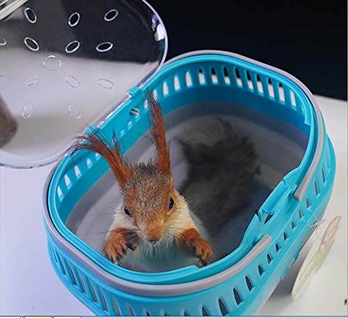 Big Hamster Cage Portable Carrier Hamster Carry Case Cage (Blue Green Color May ramdom)