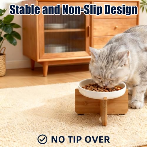 Shallow Elevated Cat Bowls with Bamboo Stand, 6.1 Inch Wide Ceramic Cat Dish Whisker Friendly, 2 Pack Pet Food and Water Plates - color: White 2 pack