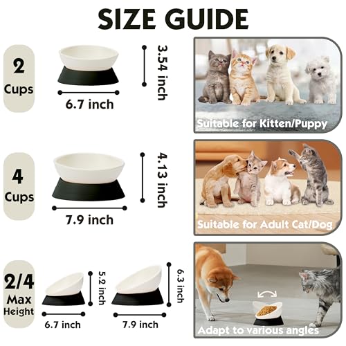 French Bulldog Food Bowl- Slanted Tilted Pug Food Water Bowl,Cat Bowl- Feeder for Frenchie/Shih Tzu/Flat Faced Small Dogs/Puppies/Cats (Black, 4 Cup) - color: Black, size: 4 Cup