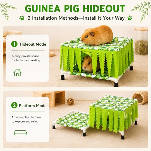 Guinea Pig Hideout with Fringe Curtain, Guinea Pig Bed | Small Animal Tent Hideaway, Stable Shelter Hut for Guinea Pig, Rabbit, Ferret, Chinchilla, Rat and Squirrel - color: Green