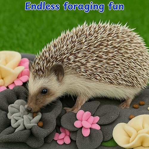 Foraging Mat For Hedgehog Enrichment Toys, Hedgehog Toys For Cage and Water Bowl, Interactive Feeding Toy For Small Pet, Rabbit Foraging Mat, Hedgehogs Accessories, Guinea Pig Toy (Gray, 17.7x9.8in) - color: Gray