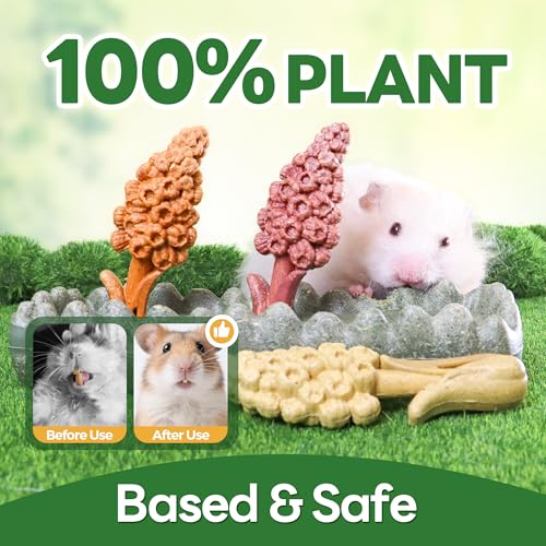 TEEWY 4PCS Guinea Pig Chew Toys, Prevent Teeth Overgrowth, Natural Timothy Grass & Vegetables, Hamster Toys, Guinea Pig Toys, Chinchilla Toys, Grass Patch & Hyacinth - style: 4PCS-Grass Patch & Hyacinth