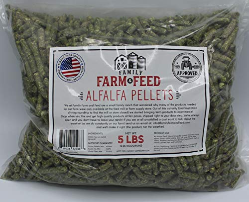 | Alfalfa Hay Food | Small Pet | Young and Adult | Pellets | 5 Pounds