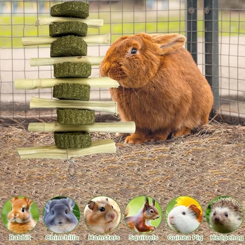 kathson Rabbit Treats Bunny Chew Toys for Teeth Grinding, Organic Bamboo Sticks Natural Guinea Pig Enrichment Toys for Small Animals Hamster Chinchilla 4 Pack - size: 4PCS