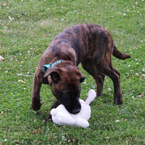 SPOT 6in Vermont Style Fleece Rabbit Dog Toy – Soft Comfort Plushie for Small Dogs & Puppies – Built-in Squeaker – Safe for Light Chewers – No Plastic Parts – Calming & Cuddly Pet Toy - size: 6 inch (Pack of 1), style: Rabbit