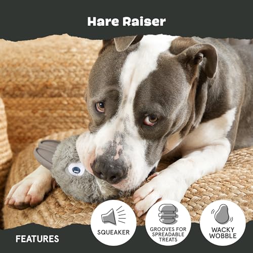 BarkBox Hare Raiser Super Chewer - 2-in-1 - Toy for Medium to Large Dogs | Durable Dog Toy for Aggressive Chewers - Plush - color: Hare - Large