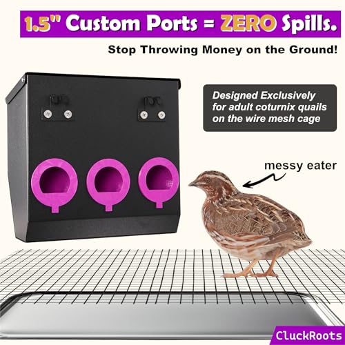 CluckRoots No Waste Quail Feeder, 3 x 1.5'' Ports for Adult Coturnix Quail | Outside-Hanging Metal Feeder for Wire Cages Hutch Pen to Save Space, No Spill No Mess for Japanese Jumbo Pharaoh Quail - size: 8 Inch