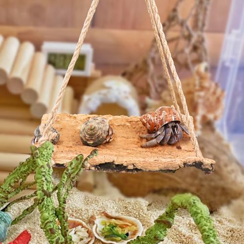 Oooct Hermit Crab Climbing Toy, Natural Wooden Reptile Swing Toy, Pet Cage Tank Aquarium Accessories for Hermit Crab Lizard Chameleon Hamster Guinea Pig Chinchilla Bird Parrot - size: Large-11.8 × 7.8 Inch