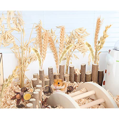 Natural Ear of Grain Flower&Herb Bedding Mate Habitat Decor, Adding Fun Hamster Accessories for Hamsters Gerbils Lemming - color: Wheat