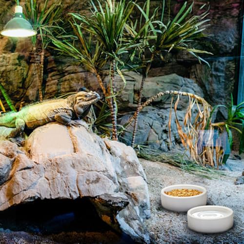 Escape-Proof Reptile Food Dish Bowl, Ceramics Small Animal Bowls for Lizard Frog Snake Turtle Gecko Hamster Food Bowl for Anti Living Foods Escape, Reptile Water Dish (S,1.96inches) - size: S,1.96inches