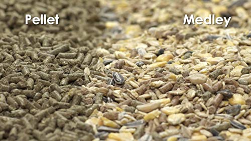 Kaytee Supreme Pet Mouse and Rat Food, 4 lb - size: 4 Pound (Pack of 1)