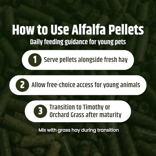 High Desert Delight Alfalfa Pellets for Young Rabbits, Guinea Pigs, 31 oz | Protein Rich Compressed Fiber Formula, Ideal For Growing Kits, Great Calcium Source, Hand Packed Fresh in the USA, Low Dust - size: 1.94 Pound (Pack of 1)