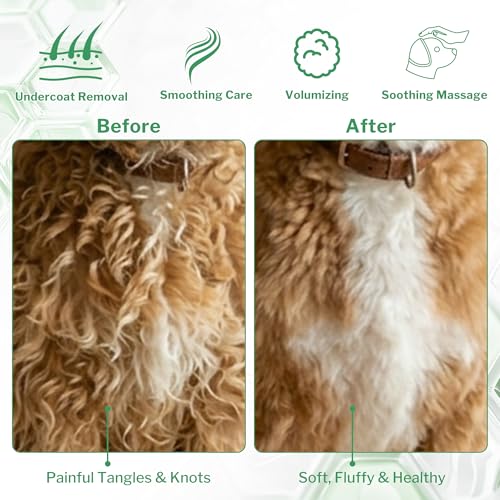 Slicker Brush for Long-Haired Dogs & Cats, Professional Dog Grooming Brush for (Goldendoodles, Poodles, Labradoodles), Large Pets Pin Tips Brushes with Natural Beech Wood Ergonomic Handle