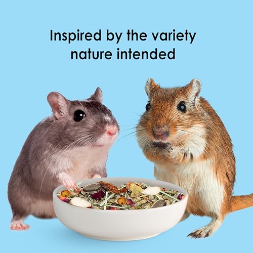 Kaytee Food from The Wild Natural Pet Hamster Food, 2 Pound - size: 2 Pound (Pack of 1)