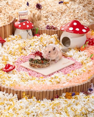 Niteangel Hamster Feeding & Food Bowls: Mushroom Glass & Chew-Resistant | Easy to clean & Stable Food Dish Feeding Bowls for Dwarf Syrian Hamsters Gerbils Mice Rats or Other Similar-Sized Small Pets - size: Feeding Bowl