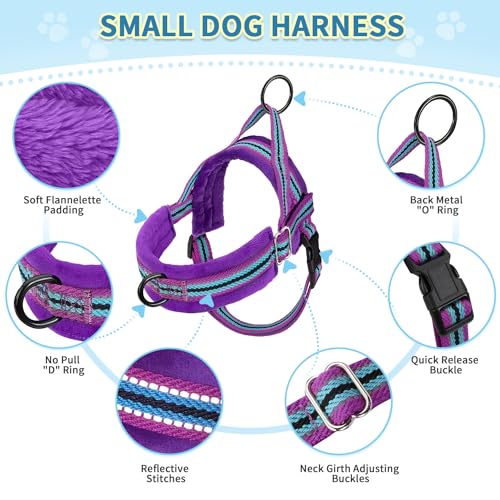 SlowTon No Pull Small Dog Harness and Leash Set with Front Clip | Soft Padded, Neck & Chest Adjustable, Lightweight, Anti-Twist, Puppy Vest Harness Pet Lead Combo for Small Medium Dog, PU S - color: Purple, size: Small