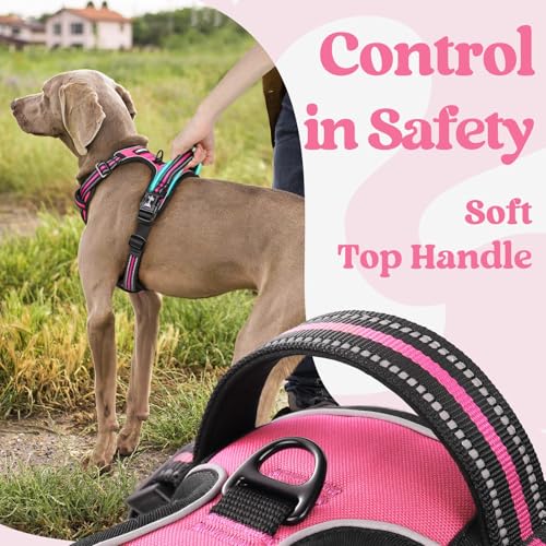 rabbitgoo Dog Harness Small Sized, Updated Easy On & Off with 3 Buckles | No Pull No Choke, Walking with 2 Clips and Handle, Adjustable Soft Reflective, Rose Pink, Small - color: Rose Pink, size: Small