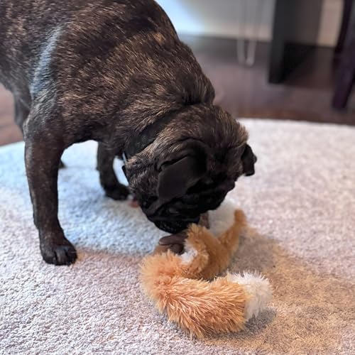 SPOT Skinneeez Fox – 14" Stuffing-Free Plush Squeaky Dog Toy for Small & Medium Dogs, Best for Light to Moderate Chewers, Mess-Free Play - style: Mini Fox