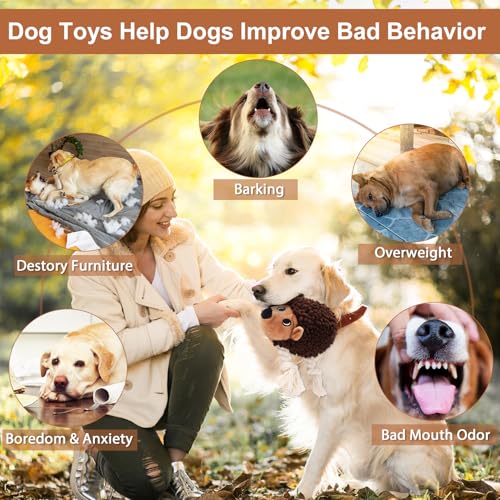 Dog Squeaky Toys for Dogs - Hedgehog Mop Plush Interactive Rope Toy, Durable Chew Toy with Squeaker and Crinkle for Small to Large Dogs, Tug of War Pet Toy for Puppies & Aggressive Chewers - color: Brown3