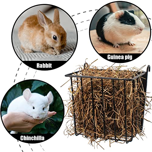 Guinea Pig Hay Feeder，Rabbit Hay Feeder with Heavy-Duty Metal Frame Hay Holder，for Bunny, Guinea Pigs,Chinchillas-6.9x4.7x6.6 inch - color: Unspecified, size: 1 piece Small