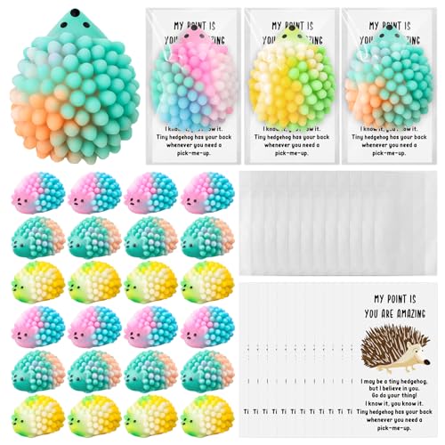 HyDren 60 Set Inspirational Hedgehog Stress Ball Gift Bulk Postive Cards | Back to School Gifts, Squeeze Stress Relief Ball, Motivational Card, Fidget Toys for Coworker, Adult, Employee Appreciation - style: Hedgehog