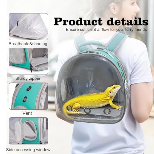 WEVONIGU Expandable Small Animal Backpack Carrier with Clear Bubble Window Large Space Travel Cage for Hedgehog Rat Parrot,Bearded Dragon,Sugar Glider,Airline Approved (Green, BE Backpack) - color: Green, size: BE Backpack