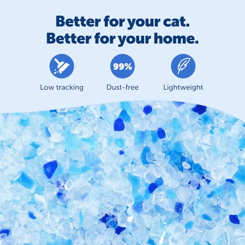 PetSafe ScoopFree Premium Crystal Litter, Fresh Scent, 8Lb Bag, 3 Pack | 5x Faster Odor Control than Clumping Clay Litter, 99% Dust-Free, Low Tracking Crystals, Compatible with Any Cat Litter Box - size: 3-Pack (8 lb Bag)