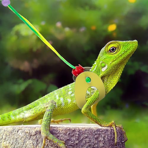 AIITLE Bearded Dragon Leash & Harness 3-Size Pack (S/M/L) - Adjustable, Soft Leather Reptile Harness for Geckos, Lizards, Chameleons, Ferrets, Hamsters, Yellow - color: Yellow