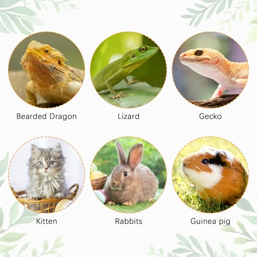 kathson Bearded Dragon Carrier with Harness and Leash Set, Large Reptile Travel Carrier Portable Lizard Backpack Clear Small Animals Carrying Bag for Gecko Hamster Rabbit Hedgehog Kitten (Black) - color: Black