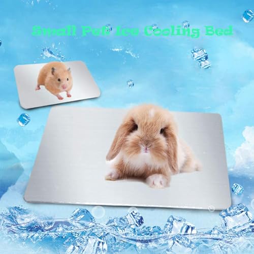 Rabbit Cooling Pad, 12x8 in Self Cooling Mat | for Hamster Guinea Pig Chinchilla Bunny Kitten Cat and Other Small Animal, Pet Cool Ice Bed Plate Perfect for Hot Summer