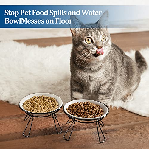 Cat Bowls, Elevated Bowl, Raised Ceramic Dish with Metal Stand, Pet Water or Food Feeding Station for Indoor Cats, Kitten, Puppies and Small Dogs(2 Pack) - color: Lucky Colver