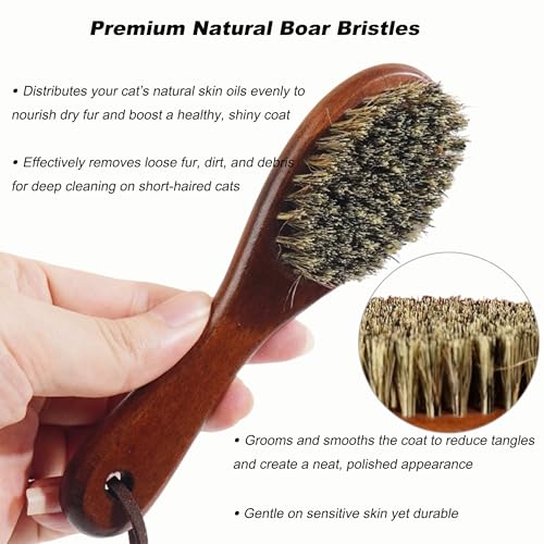 Boar Bristle Cat Hair Brush,Gentle Grooming Brush for Short Haired Cats, Kittens, Small Dogs, Rabbit, Furry Pets Soft Natural Bristles Pet Brush with Wooden Handle for Sensitive Skin