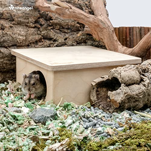 Niteangel Birch Chamber-Maze Hamster Hideout: 1 Entrance 2 Rooms Habitat | No-Disturb Removable Lid - Encourage Pets Hide and Explore Freely House & Tunnel Toys for Hamster Gerbils Mice Lemming
