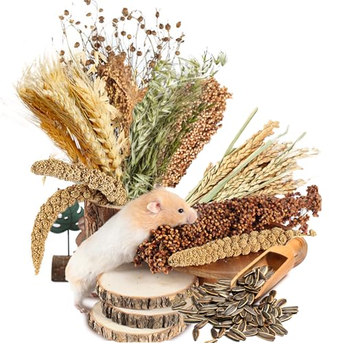 Natural Ear of Grain Flower&Herb Bedding Mate Habitat Decor, Adding Fun Hamster Accessories for Hamsters Gerbils Lemming - color: Harvest Wind