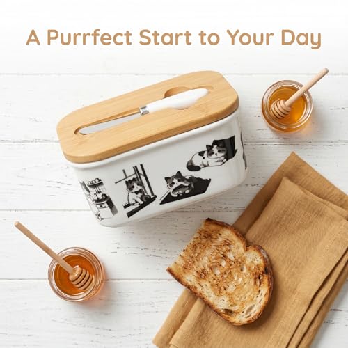 Cute Cat Kitten Print Ceramic Butter Dish with Bamboo Lid & Butter Knife, Covered Butter Container, Butter Keeper Fits Standard Western Butter Stick for Kitchen Countertop Fridge Storage - color: funny cat