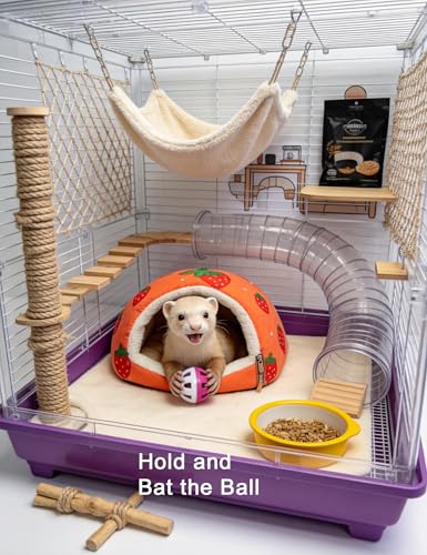 10-Pack Ferret Jingle Bell Toy Balls, Non-Toxic PP, Hollow Play | Smooth Polished Edges, No Sharp Burrs, Gentle for Ferret Mouth and Paw
